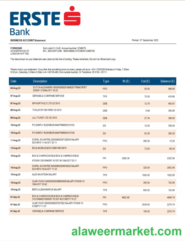 Erste Bank firm checking account statement Word and PDF template